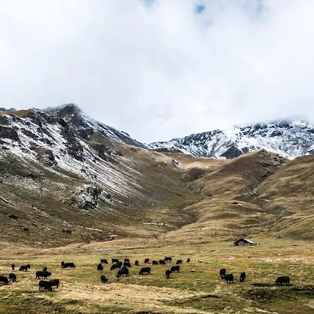 La Puchotaz Anniviers